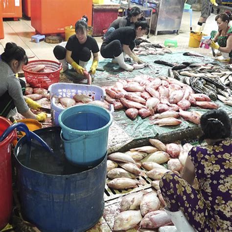 are wet markets legal in china